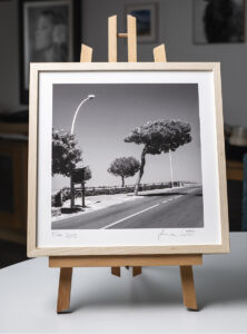 Der Esche-Rahmen von Halbe im Format 30 x 30 präsentiert hier den Print ohne Passepartout. Plantman entsprecehnd Weißraum ein, wirkt das sehrüberzeugend.