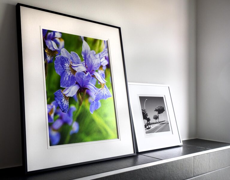 Passepartoutfarbe Weiß ist bei Farbbildern oft nur zweite Wahl, da kommt Schwarz oft sogar besser.