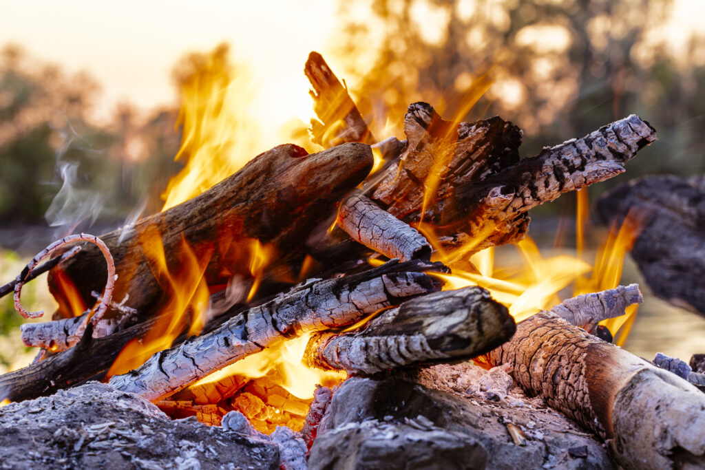 Community-Portfolio HOLZ. © Jean Theisen (LU)