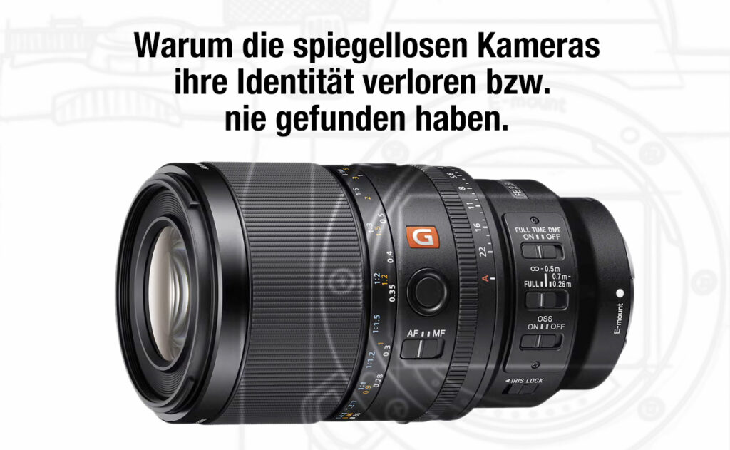 Sony FE 100mm f2.8 Macro GM OSS