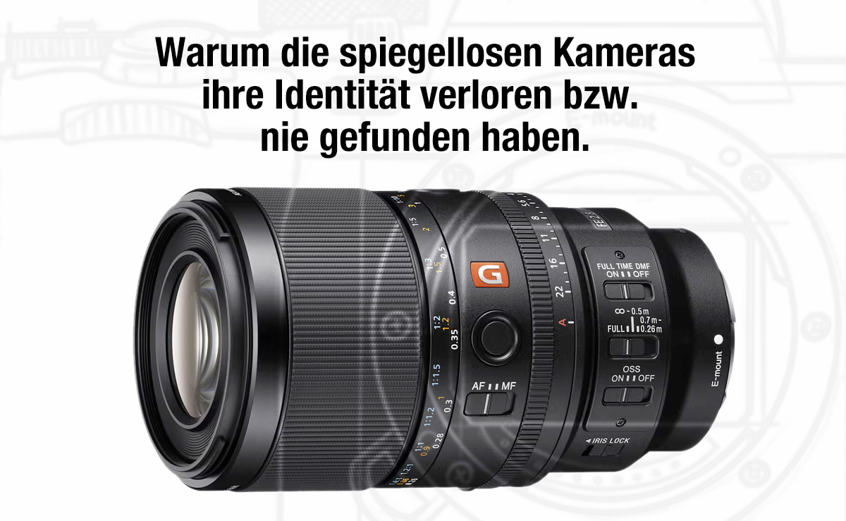 Sony FE 100mm f2.8 Macro GM OSS