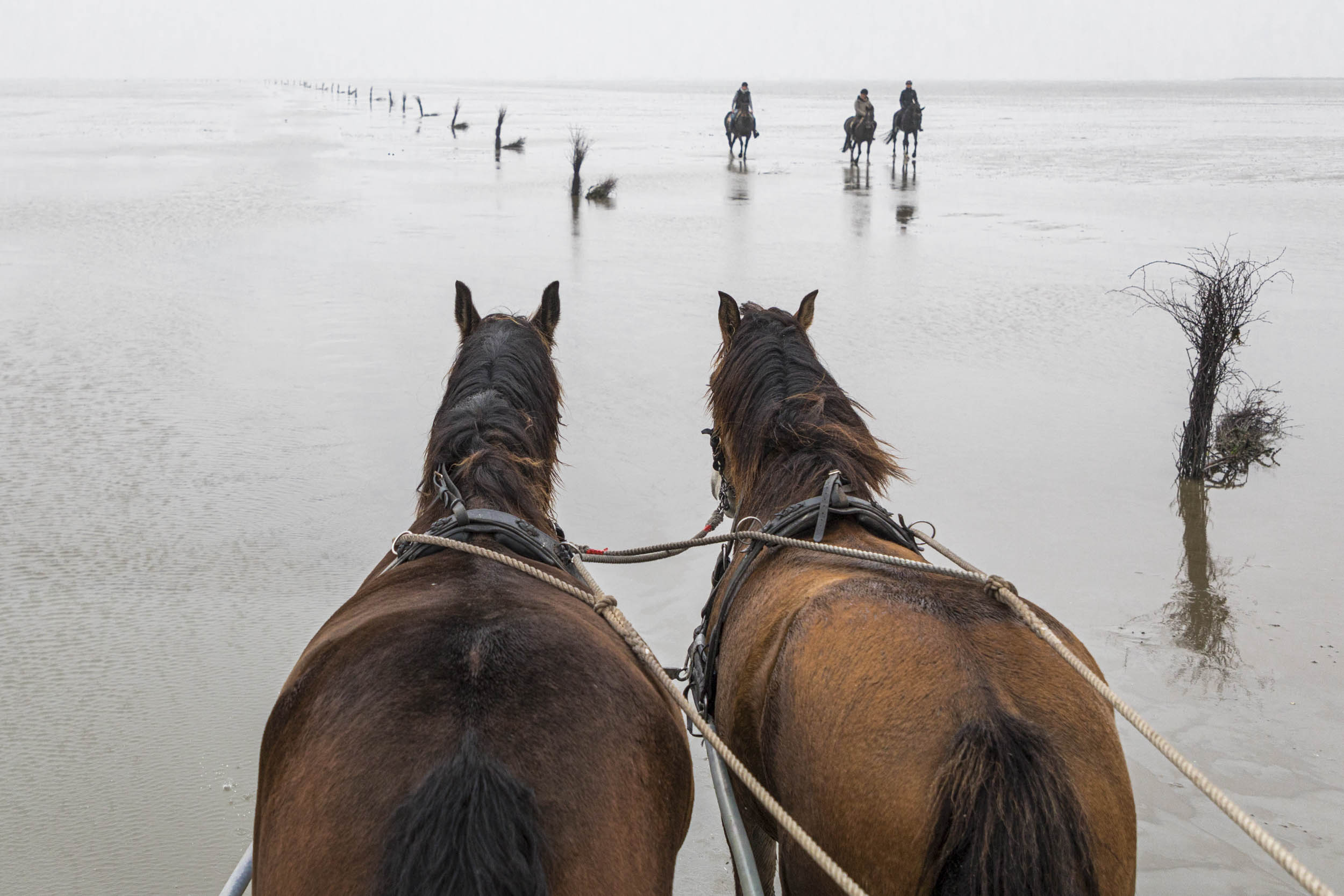 Kutsche nach Neuwerk @ Wilfried Dunckel